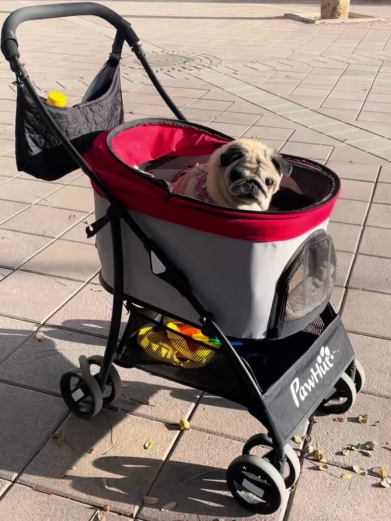 7 Carrito para perros EchoSmile plegable con ruedas amortiguadoras y mango reversible