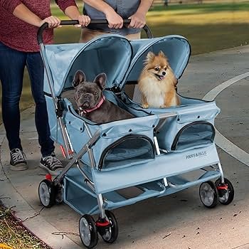 dos perros en un cochecito para perros doble