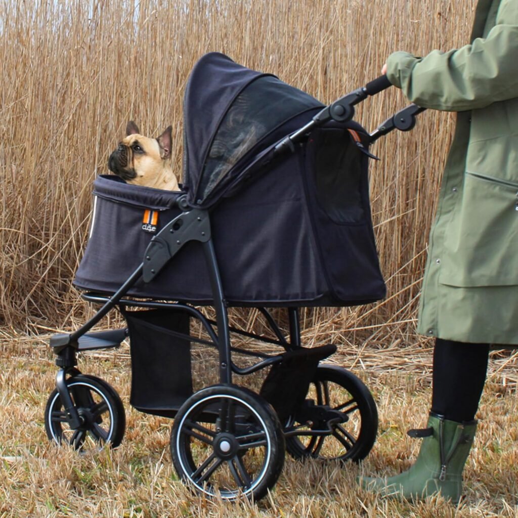 perro en su carrito de tres ruedas 1