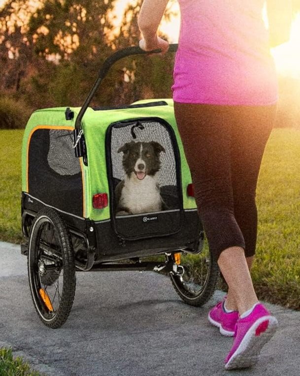 perro paseando en su carrito con ruedas todoterreno