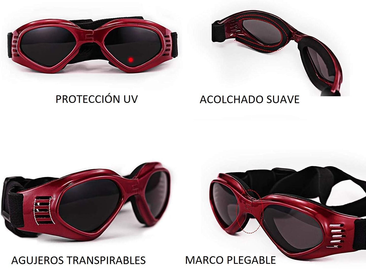 gafas para perros
