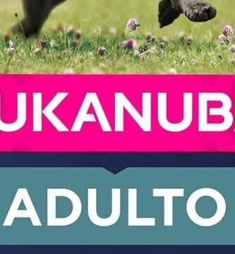 Eukanuba Alimento seco para perros adultos de razas grandes con pollo 15 kg