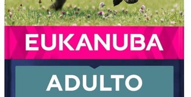 Eukanuba Alimento seco para perros adultos de razas grandes con pollo 15 kg