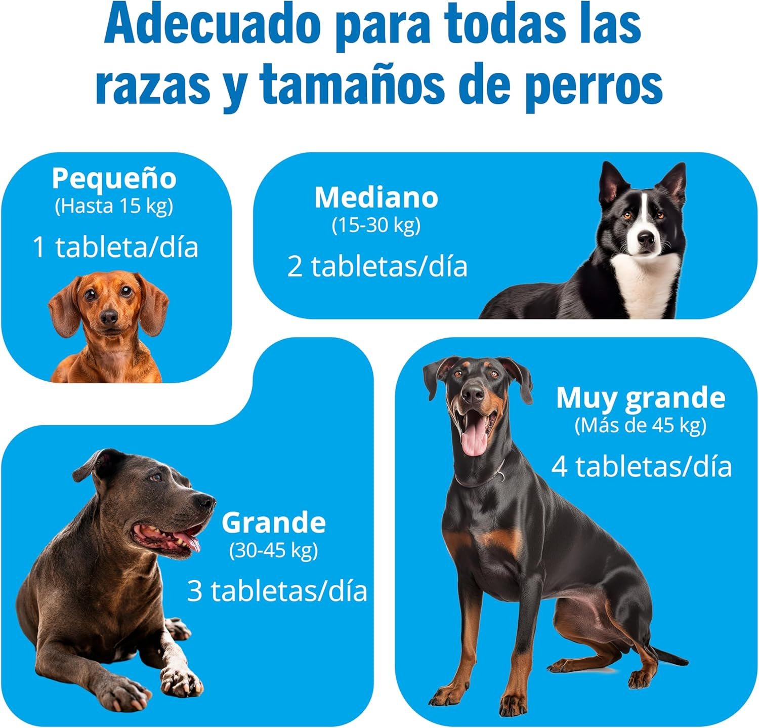 Los comprimidos de JOINTSURE se pueden partir y mezclar con la comida de tu perro para un uso más fácil.

Para obtener mejores resultados deberías duplicar la dosis recomendada durante las primeras 4-6 semanas de uso.

HASTA 15Kg - 1 comprimido
15Kg A 30Kg - 2 comprimidos
30Kg A 45Kg - 3 comprimidos
45Kg Y MÁS - 4 comprimidos