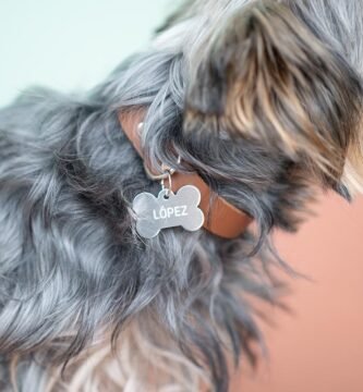 placa-personalizada-perro