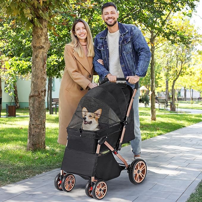 10 Mi perrita senior disfrutando de su paseo en un carrito para perros